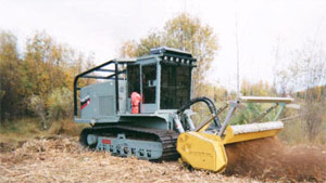 Draft-forestry-flyer-3 Draft-forestry-flyer-3