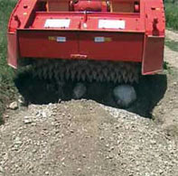 ROTO23