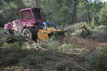 STARFORST_IMG_3307_small STARFORST_IMG_3307_small