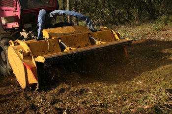 STARFORST_IMG_3412_small STARFORST_IMG_3412_small