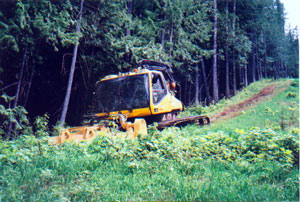 skihillnew5 skihillnew5